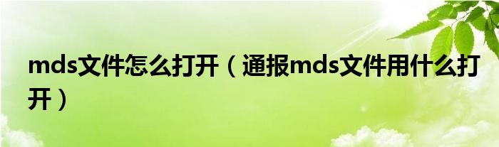 mds文件怎么打开（通报mds文件用什么打开）