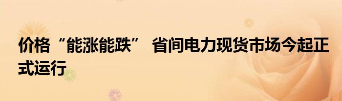 价格“能涨能跌” 省间电力现货市场今起正式运行