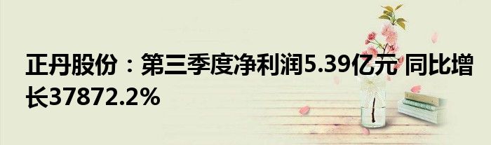 正丹股份:第三季度净利润5.39亿元 同比增长37872.2%
