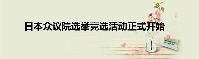 日本众议院选举竞选活动正式开始
