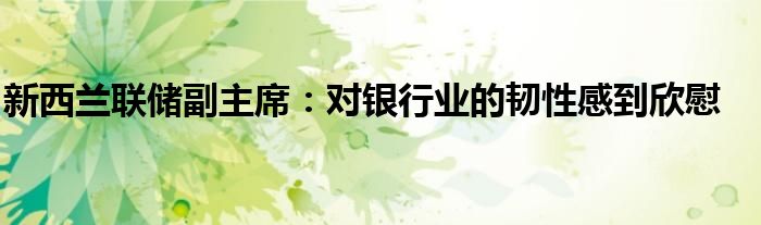 新西兰联储副主席:对银行业的韧性感到欣慰