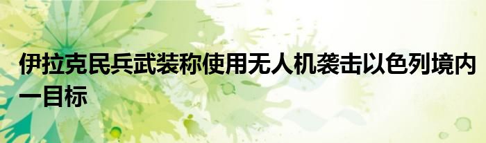 伊拉克民兵武装称使用无人机袭击以色列境内一目标
