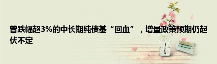 曾跌幅超3%的中长期纯债基“回血”，增量政策预期仍起伏不定