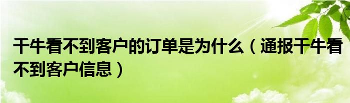 千牛看不到客户的订单是为什么(通报千牛看不到客户信息)