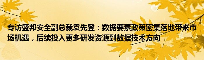 专访盛邦安全副总裁袁先登:数据要素政策密集落地带来市场机遇,后续投入更多研发资源到数据技术方向