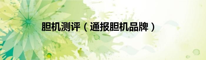 胆机测评（通报胆机品牌）