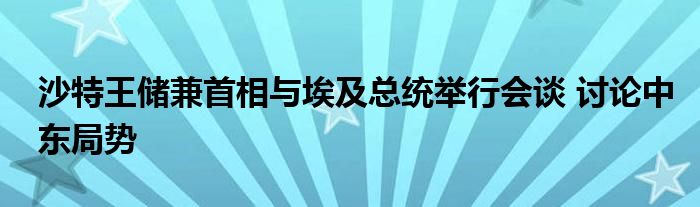 沙特王储兼首相与埃及总统举行会谈 讨论中东局势