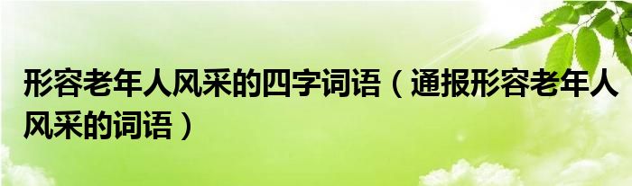 形容老年人风采的四字词语（通报形容老年人风采的词语）