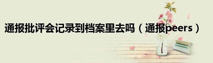 通报批评会记录到档案里去吗(通报peers)