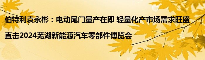 伯特利袁永彬:电动尾门量产在即 轻量化产市场需求旺盛|直击2024芜湖新能源汽车零部件博览会