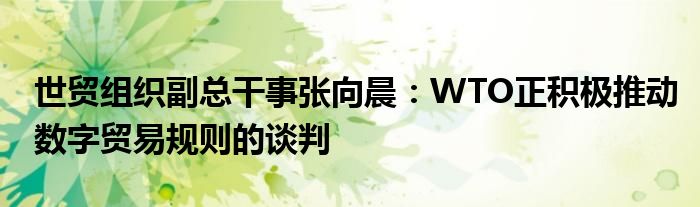 世贸组织副总干事张向晨:WTO正积极推动数字贸易规则的谈判