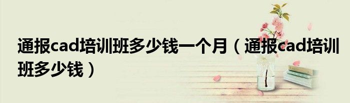 通报cad培训班多少钱一个月(通报cad培训班多少钱)
