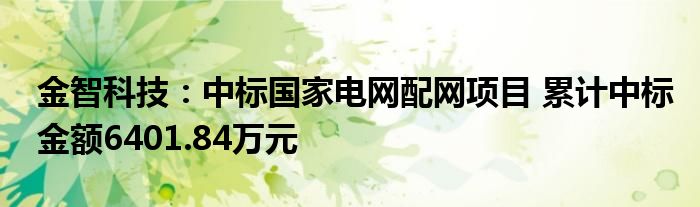 金智科技:中标国家电网配网项目 累计中标金额6401.84万元