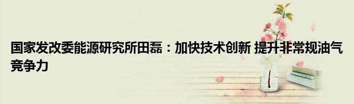 国家发改委能源研究所田磊:加快技术创新 提升非常规油气竞争力