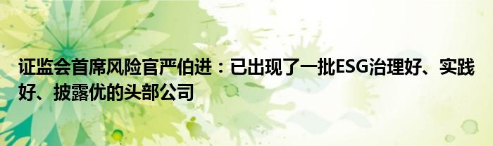 证监会首席风险官严伯进:已出现了一批ESG治理好、实践好、披露优的头部公司
