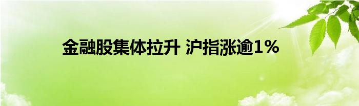 金融股集体拉升 沪指涨逾1%