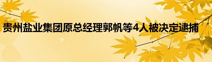 贵州盐业集团原总经理郭帆等4人被决定逮捕