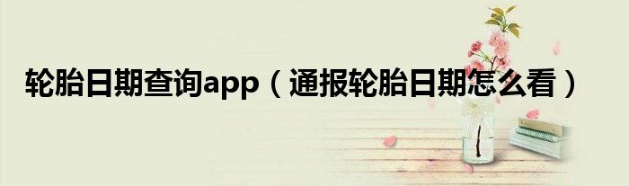 轮胎日期查询app(通报轮胎日期怎么看)