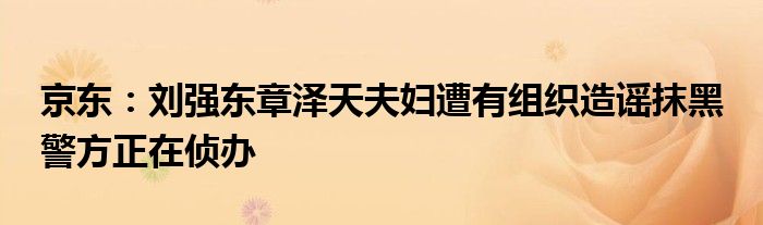 京东:刘强东章泽天夫妇遭有组织造谣抹黑 警方正在侦办