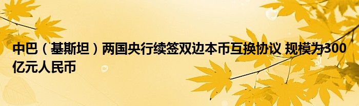中巴(基斯坦)两国央行续签双边本币互换协议 规模为300亿元人民币