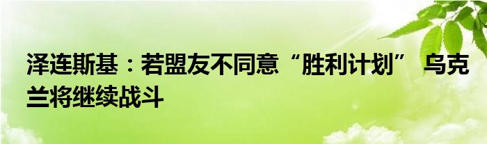 泽连斯基:若盟友不同意“胜利计划” 乌克兰将继续战斗