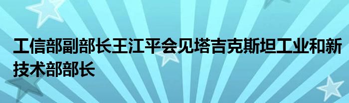 工信部副部长王江平会见塔吉克斯坦工业和新技术部部长