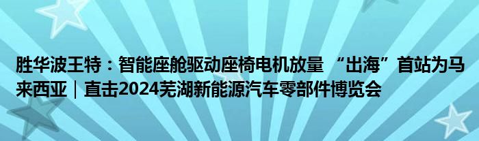 胜华波王特:智能座舱驱动座椅电机放量 “出海”首站为马来西亚|直击2024芜湖新能源汽车零部件博览会