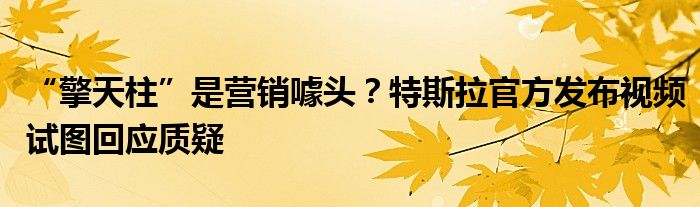 “擎天柱”是营销噱头?特斯拉官方发布视频试图回应质疑