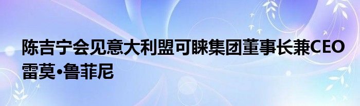 陈吉宁会见意大利盟可睐集团董事长兼CEO雷莫·鲁菲尼