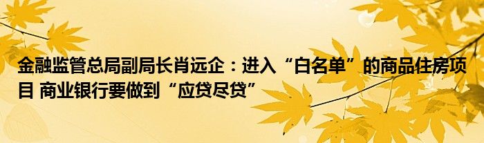 金融监管总局副局长肖远企:进入“白名单”的商品住房项目 商业银行要做到“应贷尽贷”