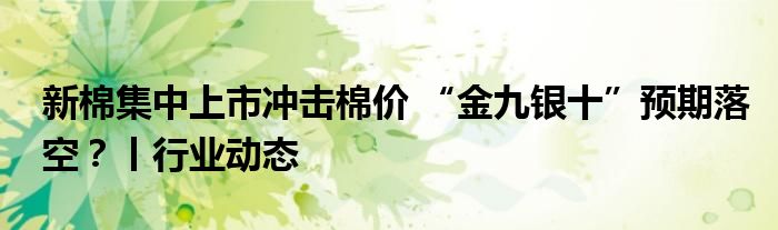 新棉集中上市冲击棉价 “金九银十”预期落空?丨行业动态