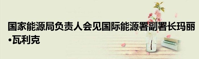 国家能源局负责人会见国际能源署副署长玛丽·瓦利克