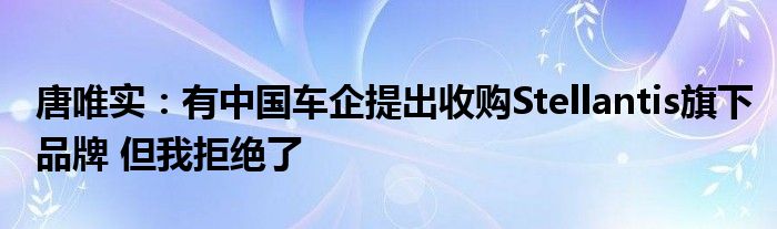 唐唯实:有中国车企提出收购Stellantis旗下品牌 但我拒绝了