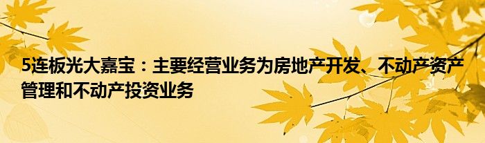 5连板光大嘉宝:主要经营业务为房地产开发、不动产资产管理和不动产投资业务