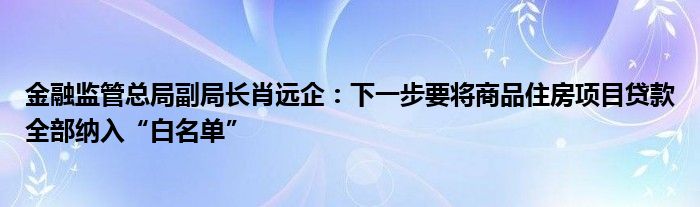 金融监管总局副局长肖远企:下一步要将商品住房项目贷款全部纳入“白名单”