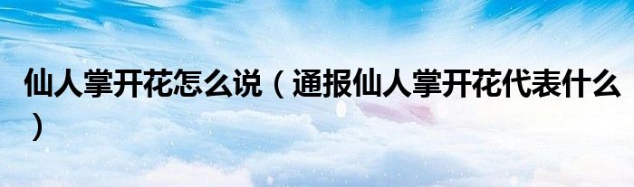 仙人掌开花怎么说(通报仙人掌开花代表什么)