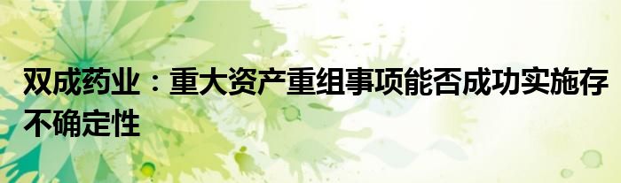 双成药业:重大资产重组事项能否成功实施存不确定性
