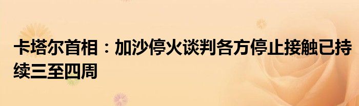 卡塔尔首相:加沙停火谈判各方停止接触已持续三至四周