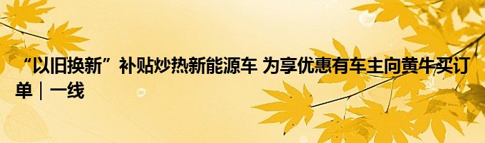 “以旧换新”补贴炒热新能源车 为享优惠有车主向黄牛买订单|一线