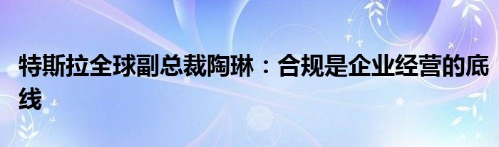 特斯拉全球副总裁陶琳:合规是企业经营的底线