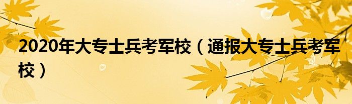 2020年大专士兵考军校(通报大专士兵考军校)