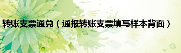 转账支票通兑(通报转账支票填写样本背面)