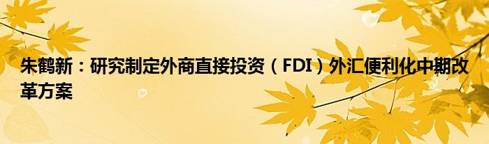 朱鹤新:研究制定外商直接投资(FDI)外汇便利化中期改革方案
