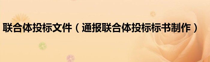 联合体投标文件(通报联合体投标标书制作)