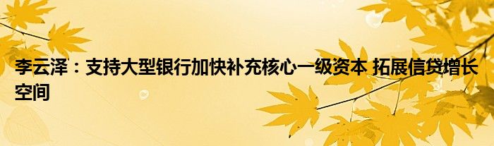 李云泽:支持大型银行加快补充核心一级资本 拓展信贷增长空间
