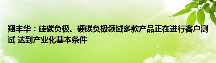 翔丰华:硅碳负极、硬碳负极领域多款产品正在进行客户测试 达到产业化基本条件