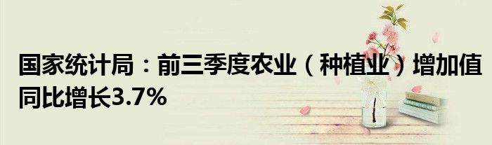 国家统计局:前三季度农业(种植业)增加值同比增长3.7%