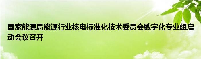 国家能源局能源行业核电标准化技术委员会数字化专业组启动会议召开