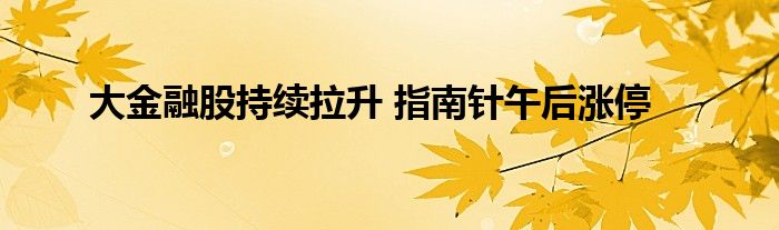 大金融股持续拉升 指南针午后涨停