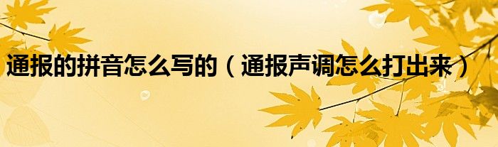 通报的拼音怎么写的(通报声调怎么打出来)